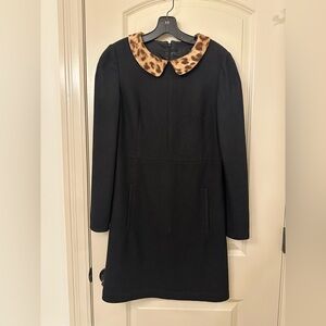 Black Dress with Leopard Print Collar